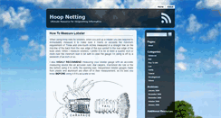 Desktop Screenshot of hoopnetting.com