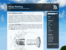 Tablet Screenshot of hoopnetting.com